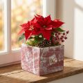 Plant box wooden decorative drawer shabby chic red white 12cm | Floristik24.co.uk