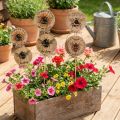 Garden stakes Wooden bee Decorative stake with funny sayings 7x27.5cm 12 pcs | Floristik24.co.uk