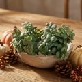 Artificial eucalyptus artificial plants for sticking 18cm 4pcs | Floristik24.co.uk