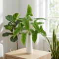 Bouquet of golden ivy artificial binding green 40cm | Floristik24.co.uk