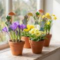 Frog with umbrella Flower stakes Wood 8.5cm 12pcs | Floristik24.co.uk