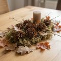 Cedar cones cut as rose