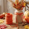 Paper cord 6mm 23m Orange | Floristik24.co.uk