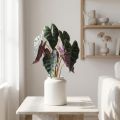 Alocasia arrow leaf green, violet artificial plant H48cm | Floristik24.co.uk