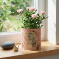 Flower pot decorative can salmon metal planter Ø15.5cm H15cm | Floristik24.co.uk