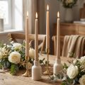 Taper Candles Wenzel Candles Beige 250/23mm 12 Pcs | Floristik24.co.uk