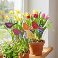 Spring decoration flower plug wooden bird decoration 28cm 18 pcs | Floristik24.co.uk