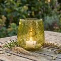 Lantern glass decoration vintage yellow-green Ø12cm H12.5cm | Floristik24.co.uk