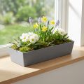 Versatile Rectangular Grey