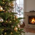 Large decorative stars for hanging, 24cm, berry glitter, Christmas decoration, set of 6 | Floristik24.co.uk