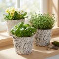 Bark-look plant pot, ideal for rustic interior design and plant decoration, 12cm, 4 pieces | Floristik24.co.uk