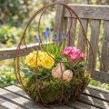 Wire basket, metal planter, spring decoration, Easter basket, brown, rust finish, H34cm L30cm | Floristik24.co.uk