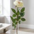 Artificial rose, decorative rose, silk flower cream white, green L72cm Ø12cm | Floristik24.co.uk