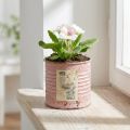 Flower pot decorative tin round antique rose metal planter Ø8cm H7.5cm | Floristik24.co.uk