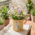 Decorative tin, apricot, metal plant pot, summer decoration, Ø15.5cm H15cm | Floristik24.co.uk
