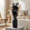 Lagurus hare's tail grass, black, decorative, dried, 60cm, 50g | Floristik24.co.uk
