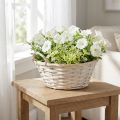 Basket with handles, chipwood basket, plant basket, white, vintage, decorative, Ø35cm | Floristik24.co.uk