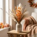 Lagurus Dried Rabbit's Tail Grass Apricot Decorative Dried Flowers 55-60cm 50g | Floristik24.co.uk