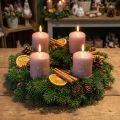 Pink Christmas candles, pillar candles, set of 4, winter decoration Ø5cm H6cm | Floristik24.co.uk