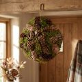 Real cones decorative ball with moss natural decoration Ø25cm H25cm | Floristik24.co.uk