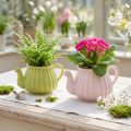 Ceramic Decorative Teapot