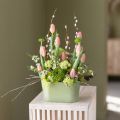 Plant bowl oval green bowl plastic 20×10×11cm 3pcs | Floristik24.co.uk