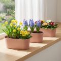 Plant bowl oval decorative bowl plastic pink-brown 27×11×10cm 3pcs | Floristik24.co.uk
