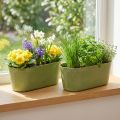 Plant Bowl Oval Green Plastic Bowl 27×11×10cm 3pcs | Floristik24.co.uk