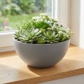 Plant pot plastic flower bowl grey Ø25cm H12cm | Floristik24.co.uk
