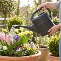 Watering can 5l anthracite