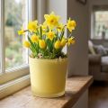 Glass flower pot yellow decorative glass tub Ø11.5cm H11cm | Floristik24.co.uk