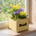 Plant drawer wooden decorative plant box yellow 12.5cm | Floristik24.co.uk