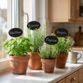 Mini Chalkboard Black Oval Metal Flower Stakes 7.5x4.5cm 12 Pieces for Floristry and Decoration | Floristik24.co.uk