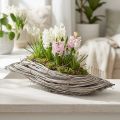 Rattan Wave Plant Bowl with Natural White Finish 40x14x6cm | Floristik24.co.uk