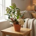 Artificial green Skimmia japonica flowers, 45cm, 2 pieces | Floristik24.co.uk