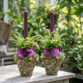Plant pot rustic forest look planter Ø12.5cm H12cm 2pcs | Floristik24.co.uk