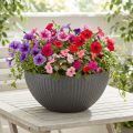 Plant bowl plastic anthracite Ø35cm H16.5cm | Floristik24.co.uk