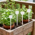 Plant label 32cm 10pcs. | Floristik24.co.uk