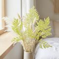 Ferns: Preserved, high-quality natural material for long-lasting decoration projects, 40cm, 10 pieces | Floristik24.co.uk