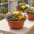 Plastic plant bowl Ø27cm round bowl terracotta 5pcs | Floristik24.co.uk