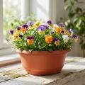 Round planter plastic Ø23cm H10cm terracotta 5pcs | Floristik24.co.uk