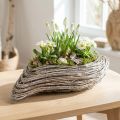 Planting boat plant wave rattan natural white 45x16cm | Floristik24.co.uk