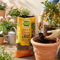 FRUX potting soil and citrus plant soil 18l | Floristik24.co.uk