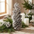 Sugar pine cones whitewashed 20cm - 30cm | Floristik24.co.uk