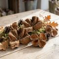 Landlotus Nature 50 pcs | Floristik24.co.uk