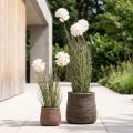 Artificial flowers decoration ball flower Allium ornamental onion artificial 54cm | Floristik24.co.uk
