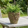 Plant pot rustic planter moss look Ø17cm H16.5cm | Floristik24.co.uk