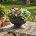 Bowl with base anthracite Ø30cm | Floristik24.co.uk