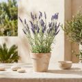 Lavender bush artificial purple 51cm | Floristik24.co.uk