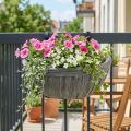 Hanging pot flower pot for hanging balcony hanging pot 30x17cm | Floristik24.co.uk